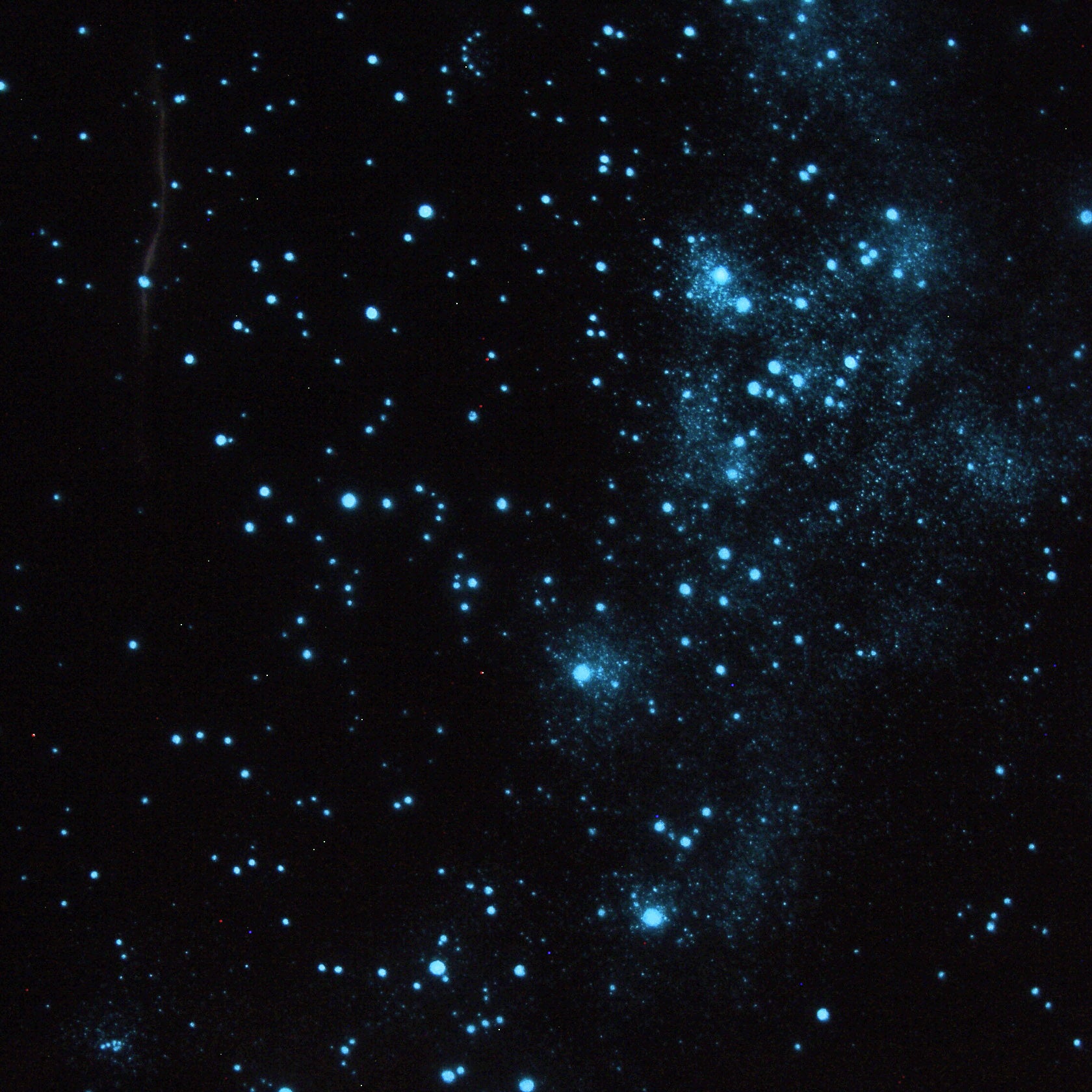 customised star canopy with star constellations unique to time and place