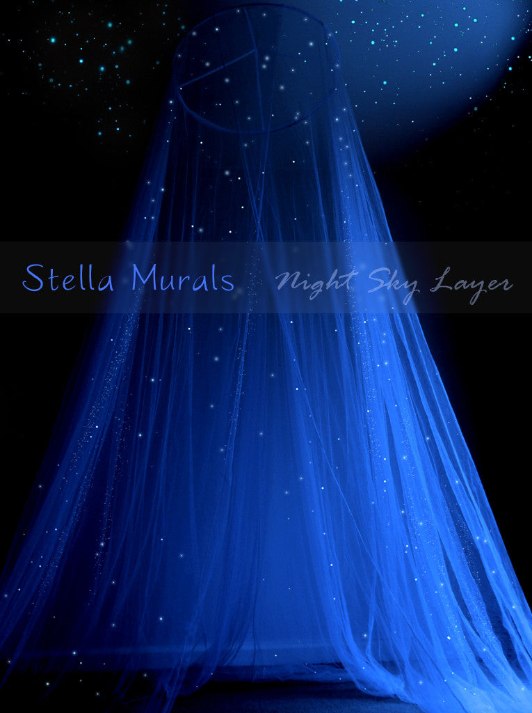 glow in the dark star canopy designed and painted in new zealand