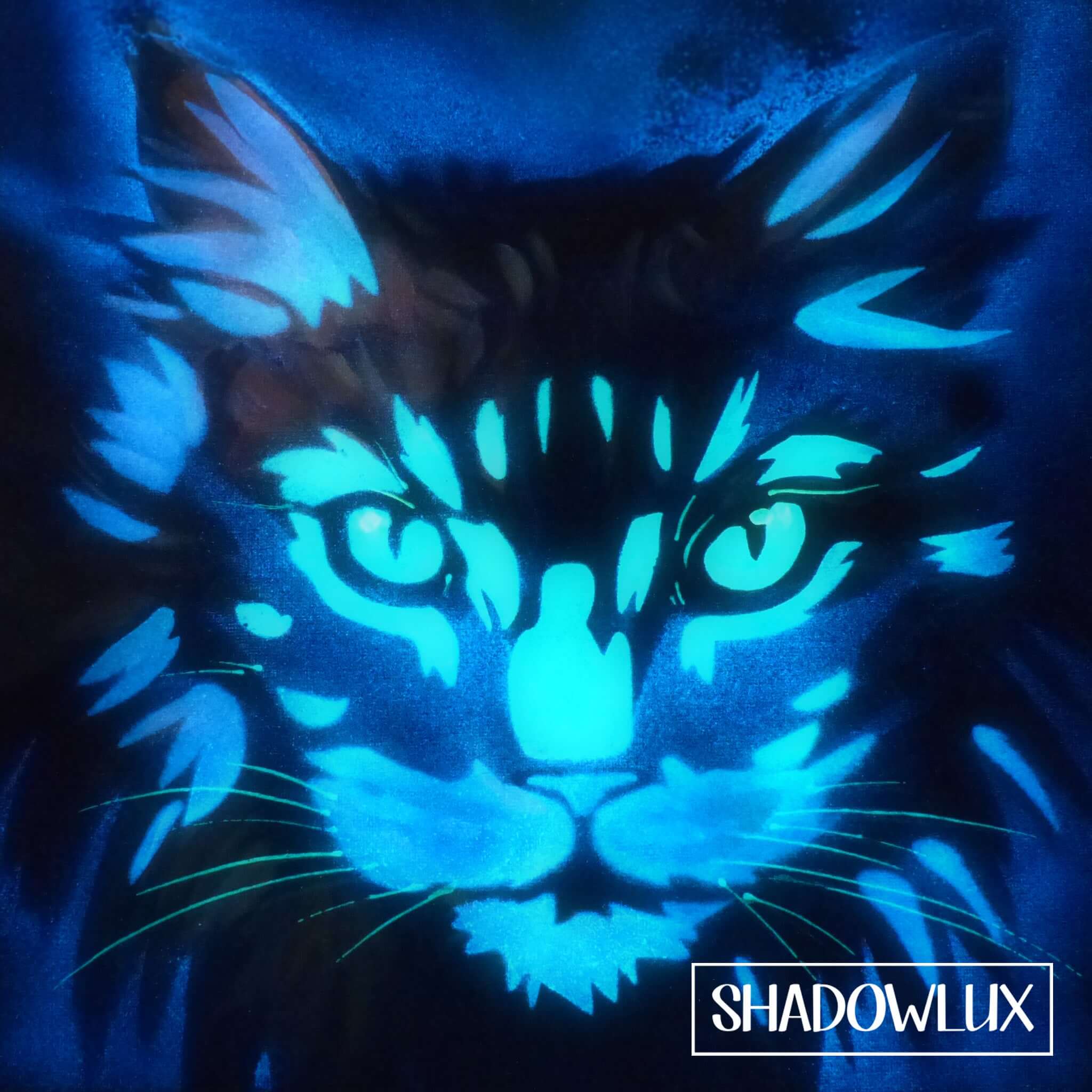 Glow-in-the-dark painting of a Maine Coon style cat with luminous fur patterns visible at night