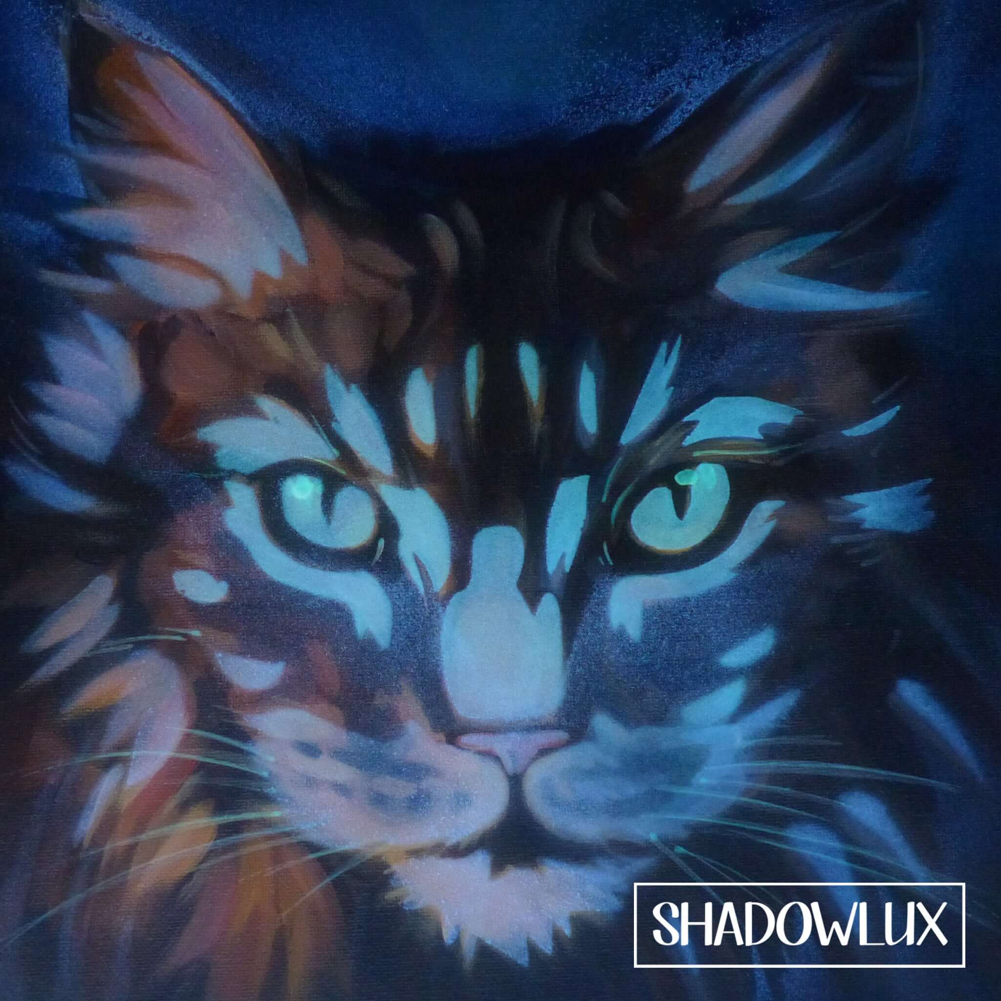 Glowing Nighttime artwork of a fluffy maine coon cat
