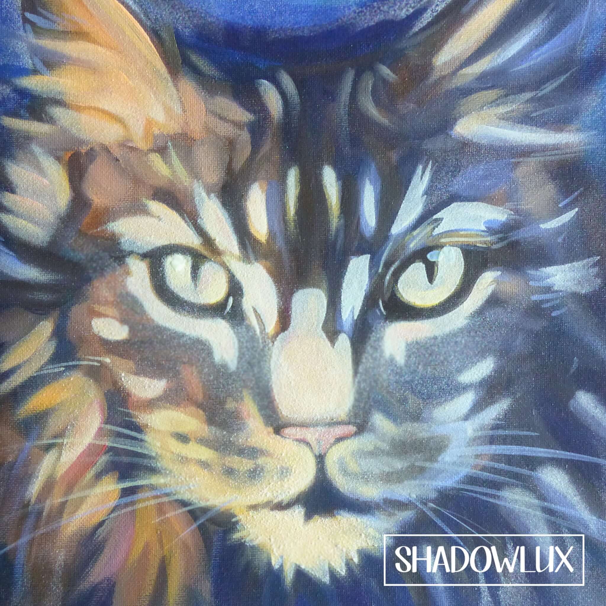 Artwork featuring a Maine Coon style cat with thick fur and tabby markings in daylight, with layers of invisible glow paint