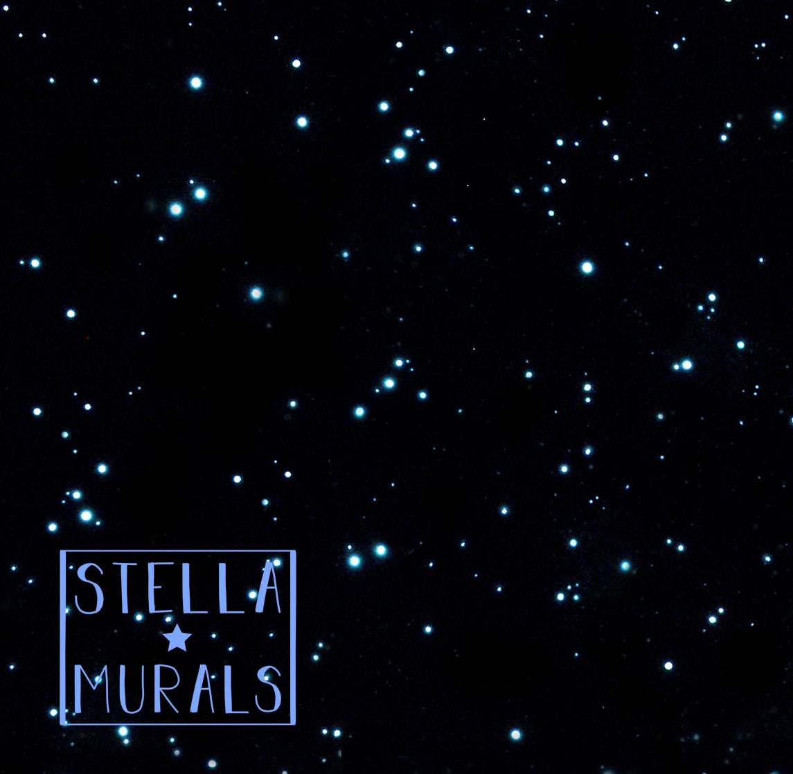 glow in the dark stars