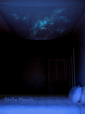 Glow in the dark ceiling canopy - Stella Murals