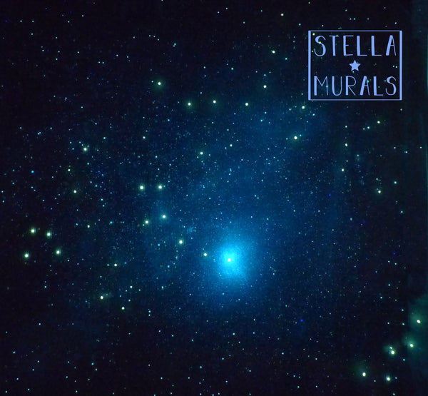 polaris glow in the dark star canopy stella murals