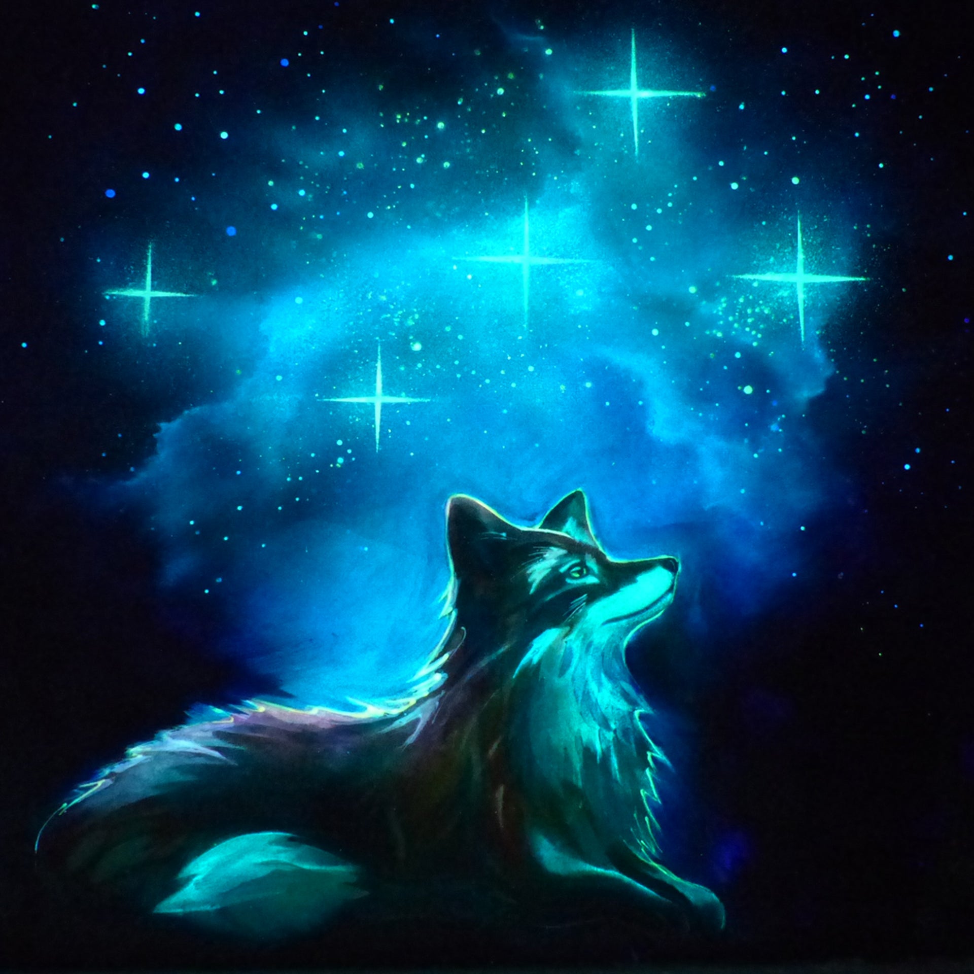 glow art fox looking up at a starry, glowing blue sky