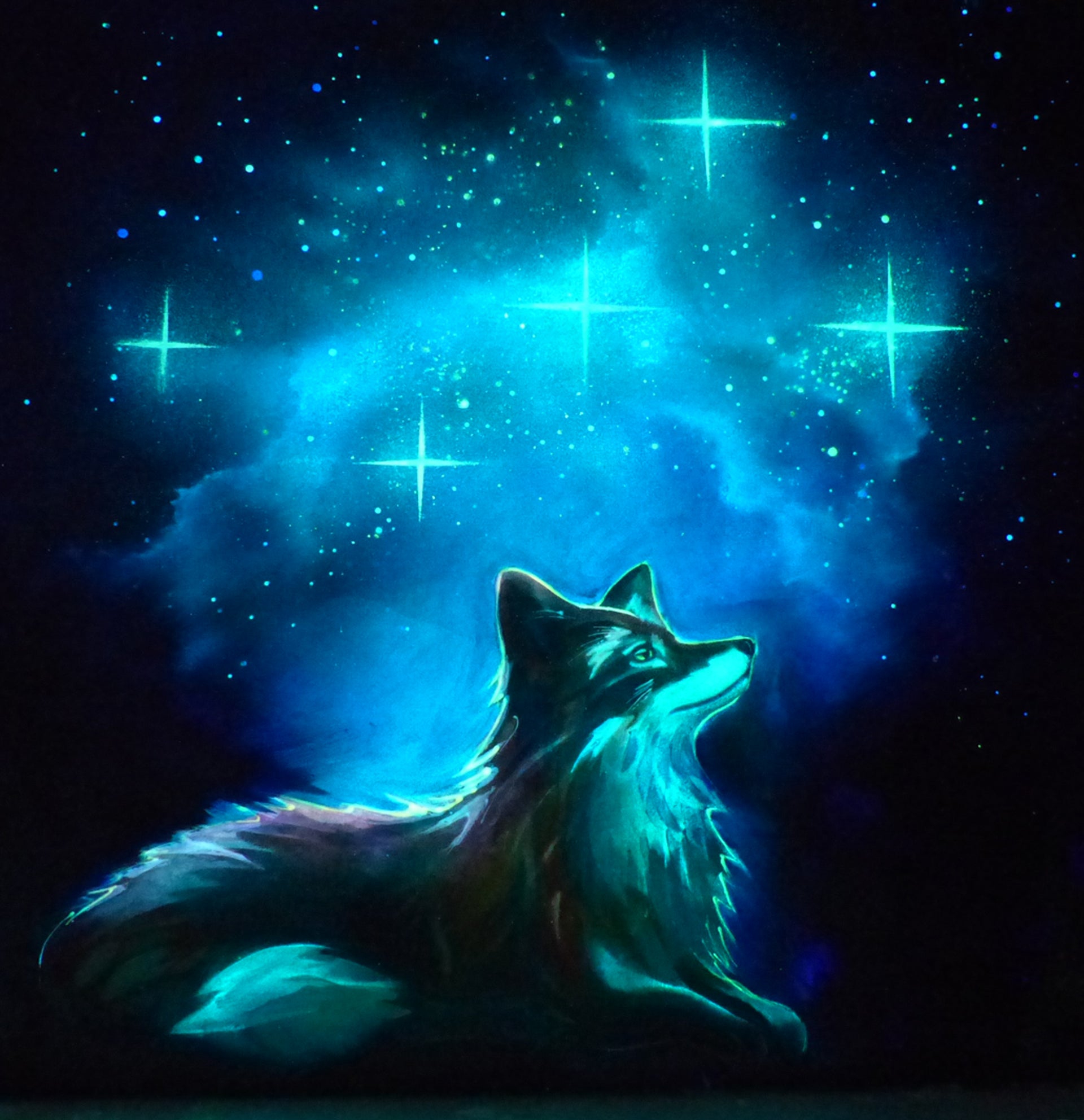 glow art fox looking up at a starry, glowing blue sky