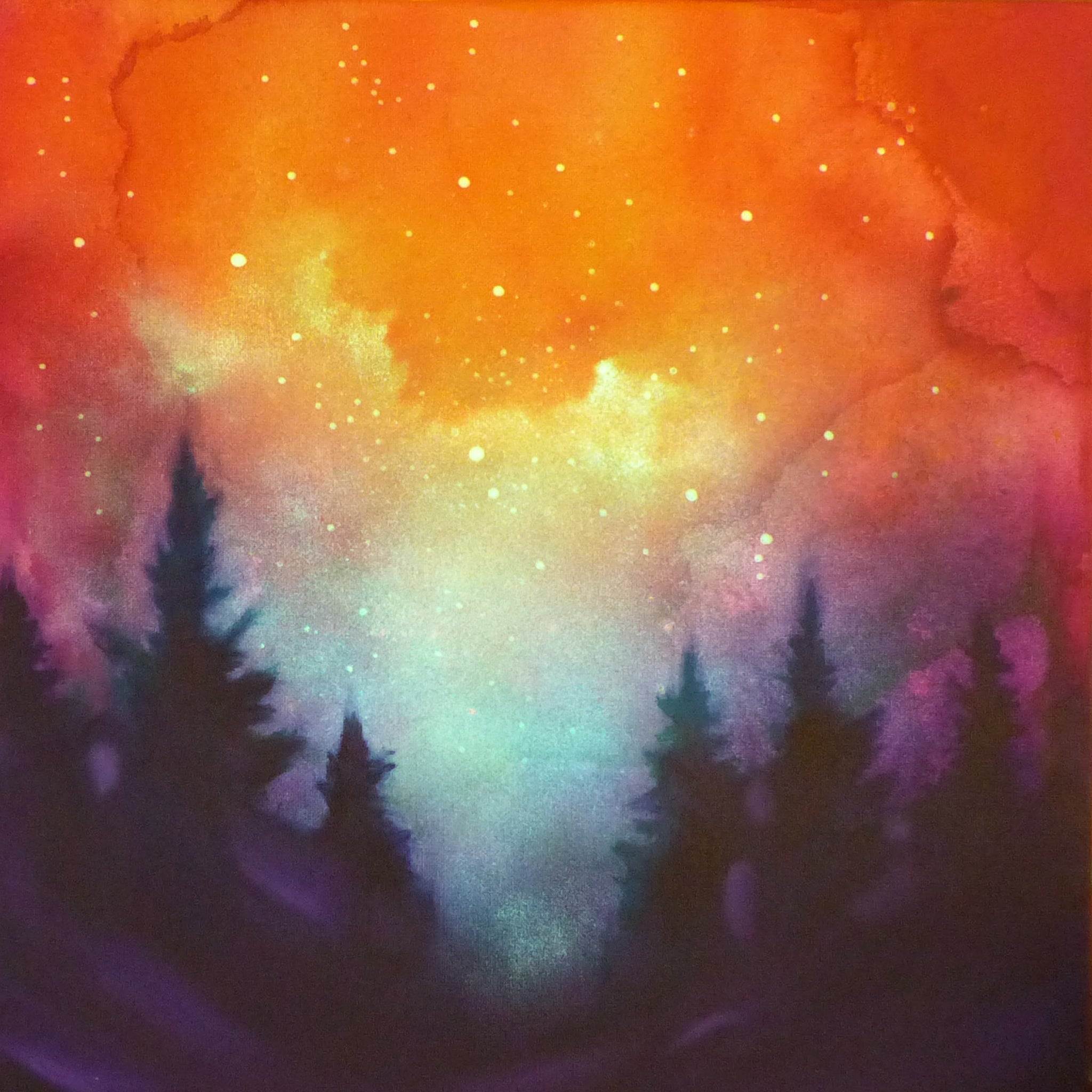 Colorful glow in the dark  sky with silhouettes of trees