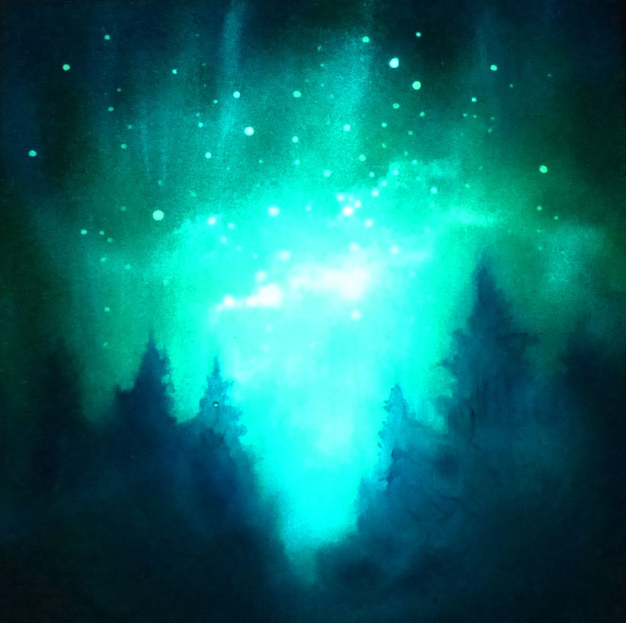 glowing in the dark Aurora borealis over a forest with silhouetted trees