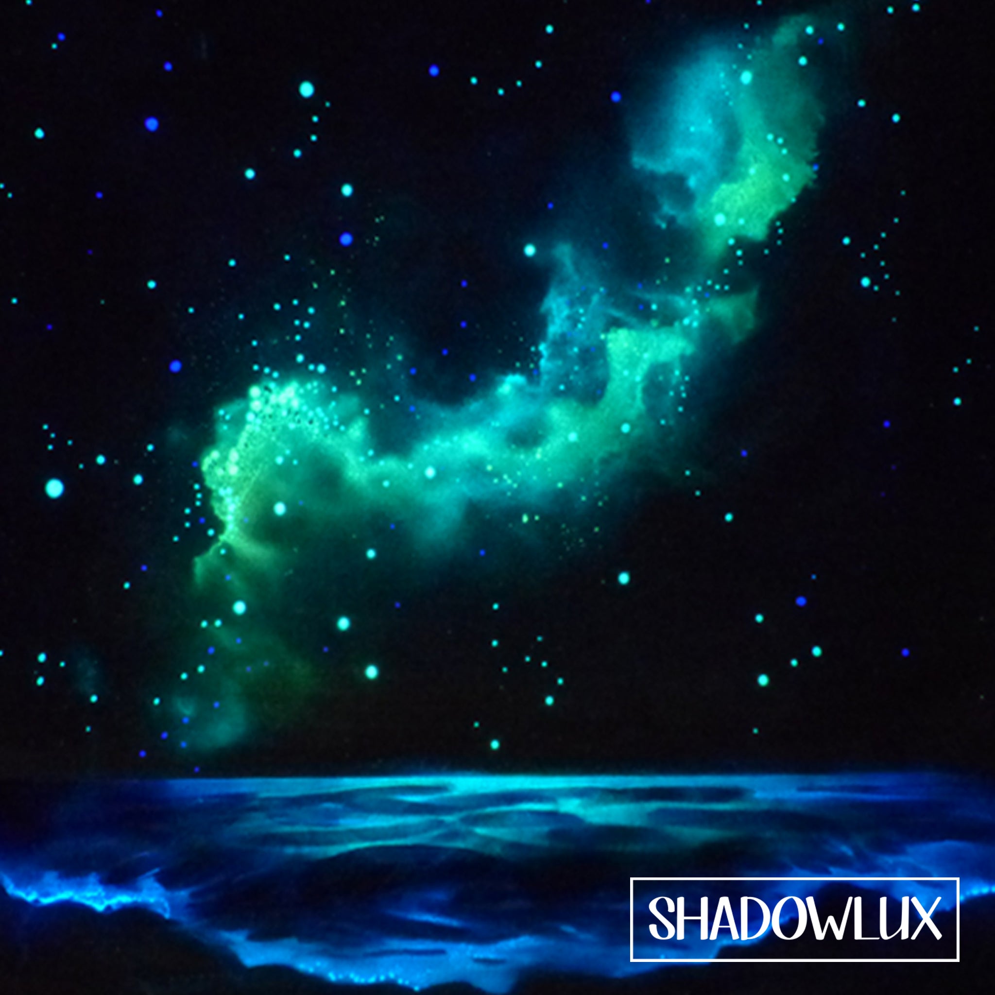 glow in the dark bioluminescence