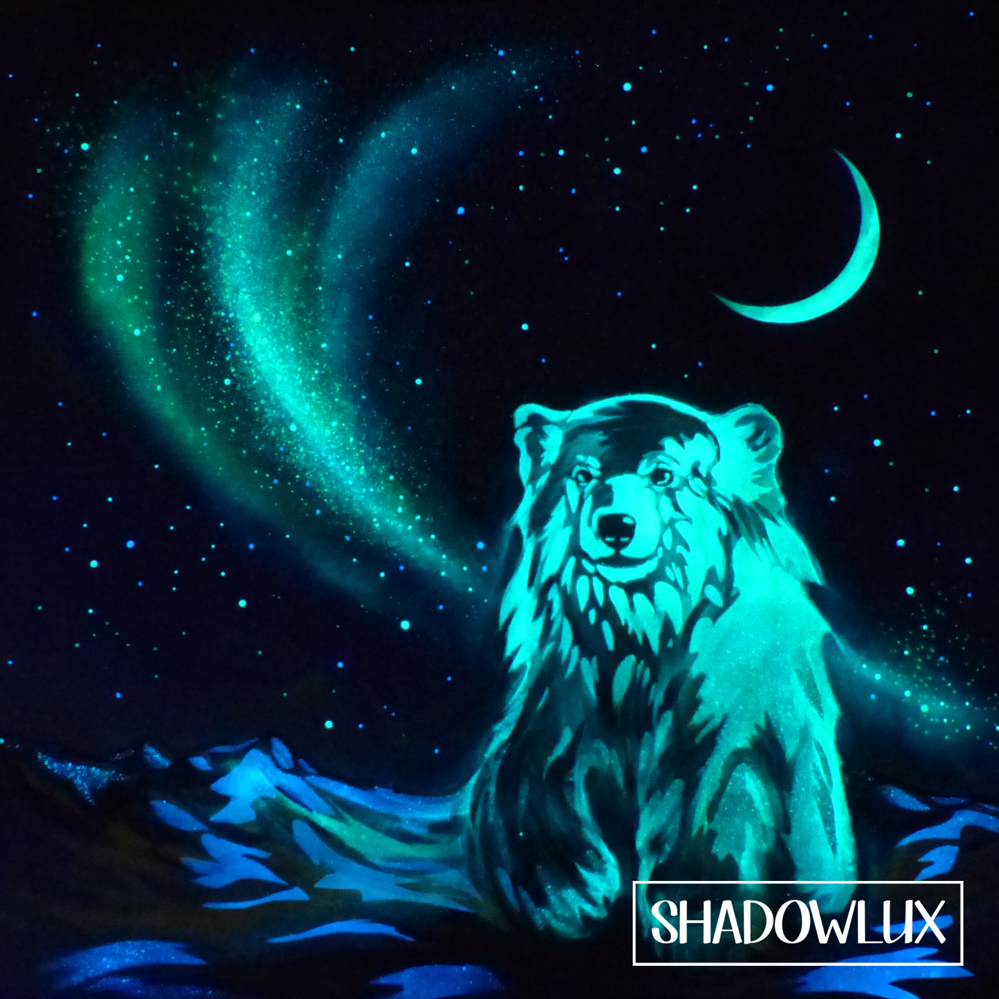 glow in the dark aurora, moon, stars and polar bear