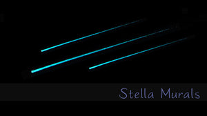 Glow in the Dark Star Ceiling | Extra Large Moon | Clear Vinyl